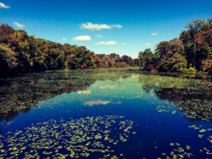 A view of a lake in Newark, Delaware -- a city where you can buy an investment property with a DSCR loan Delaware.