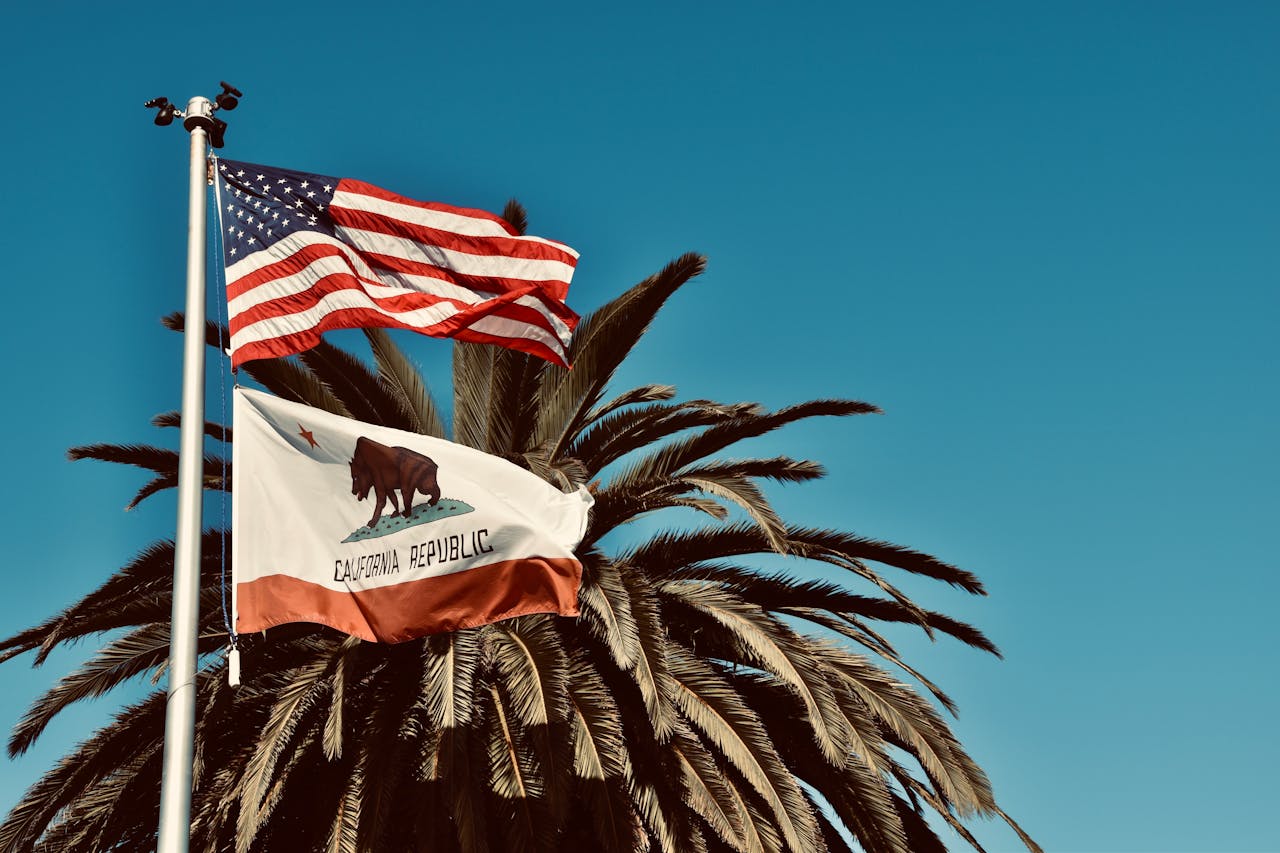 The Digital Deed 9 The U.S. and California flag flying next to a palm tree to represent getting foreign national loans California.