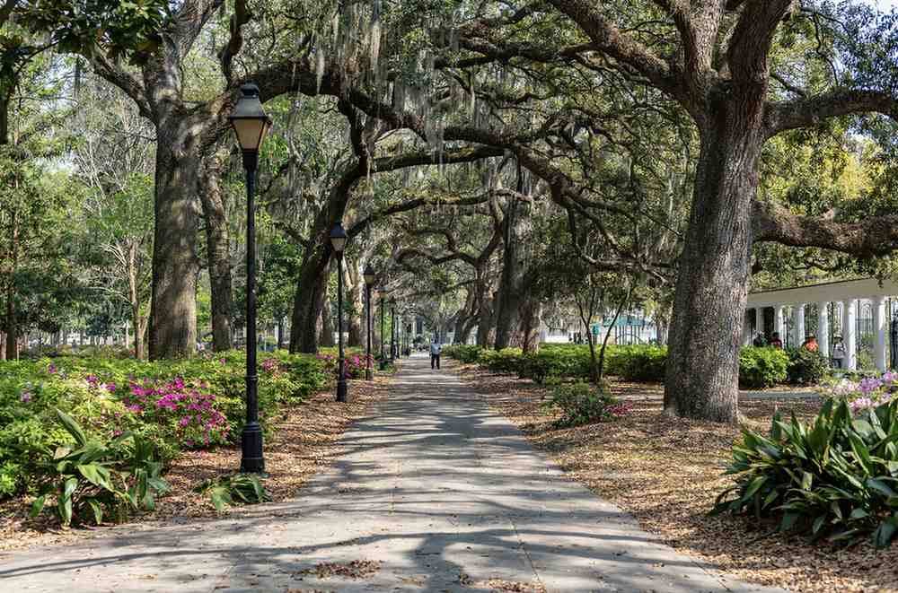 Home Loans in Georgia: Your Complete Guide to Financing in 2025 2 Walking path in Georgia